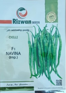 Chilli F1 Navina (IMP.)